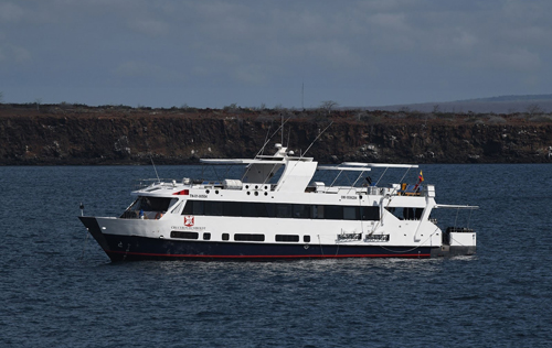 Galapagos Islands Dive Travel Galapagos Islands Dive Travel