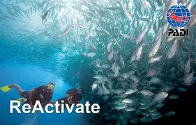 PADI ReActivate
