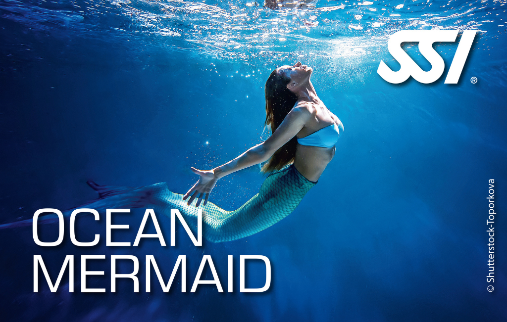 Ocean Mermaid