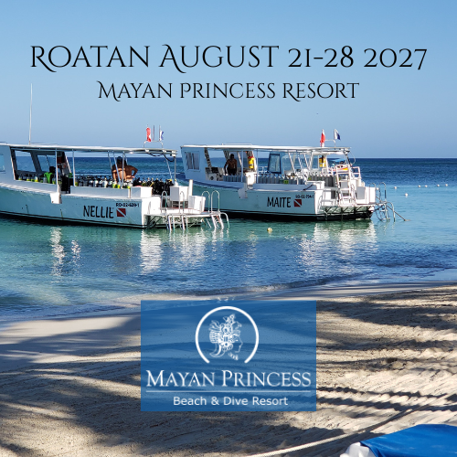 Roatan August 2027