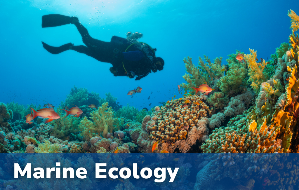 Marine Ecology Marine Ecology