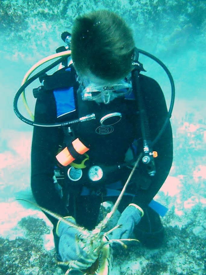 Refresher Scuba Classes