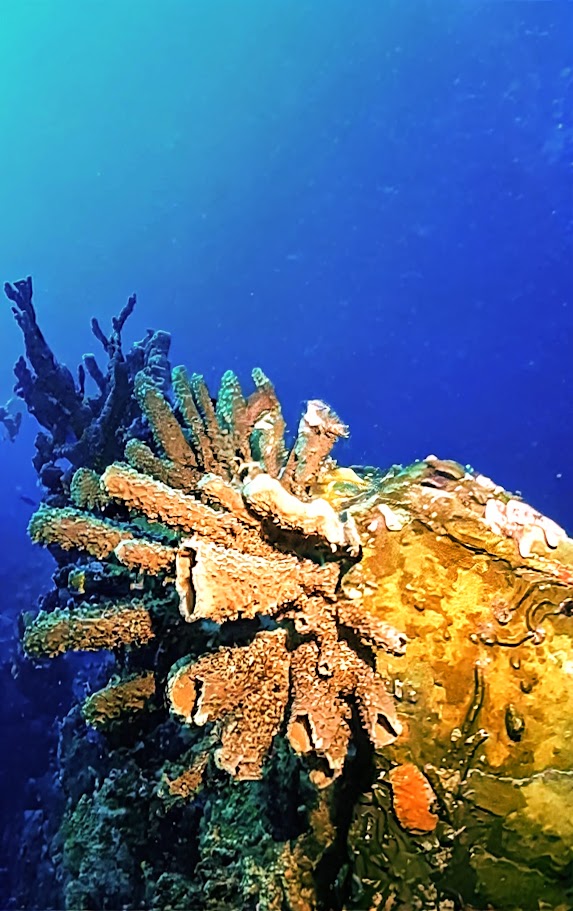 Key Largo 