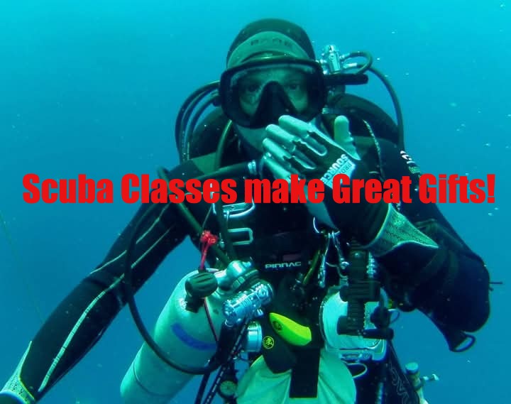 Holiday Scuba Class Special!