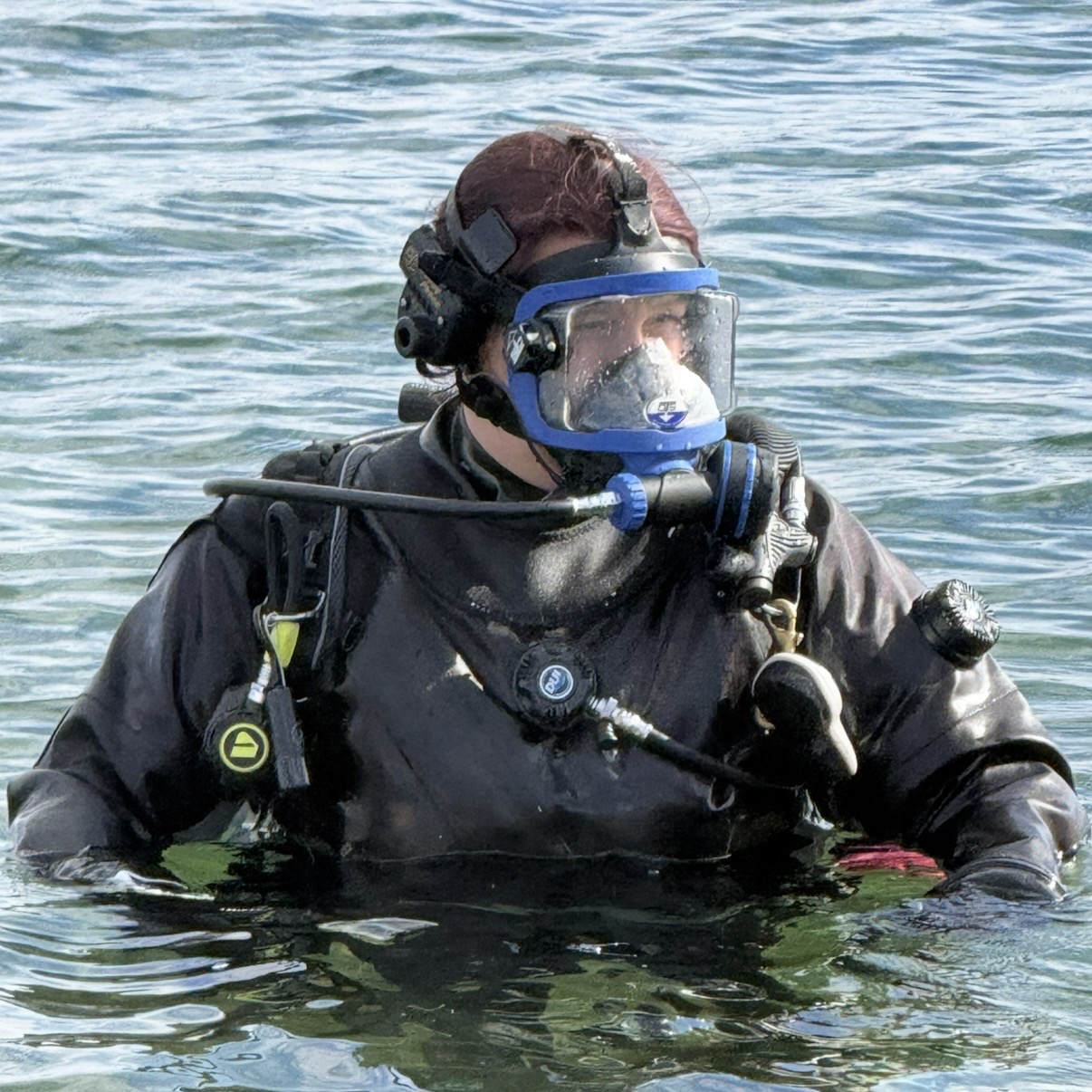 Gear Demo