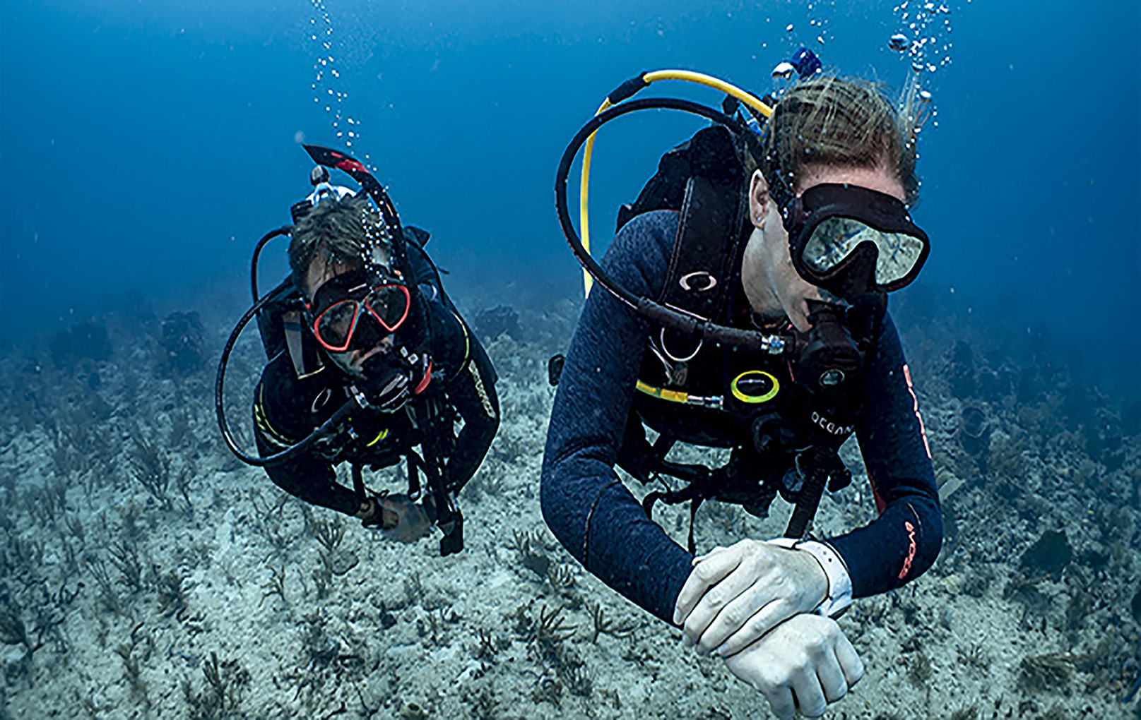 SDI Master Diver
