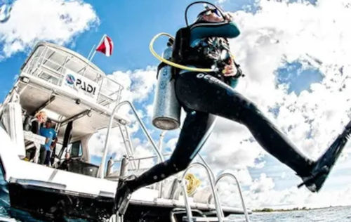 Boat Diver