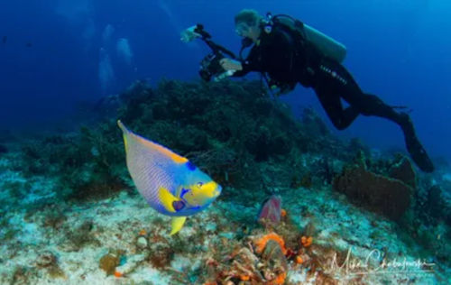 Underwater Photographer Diver