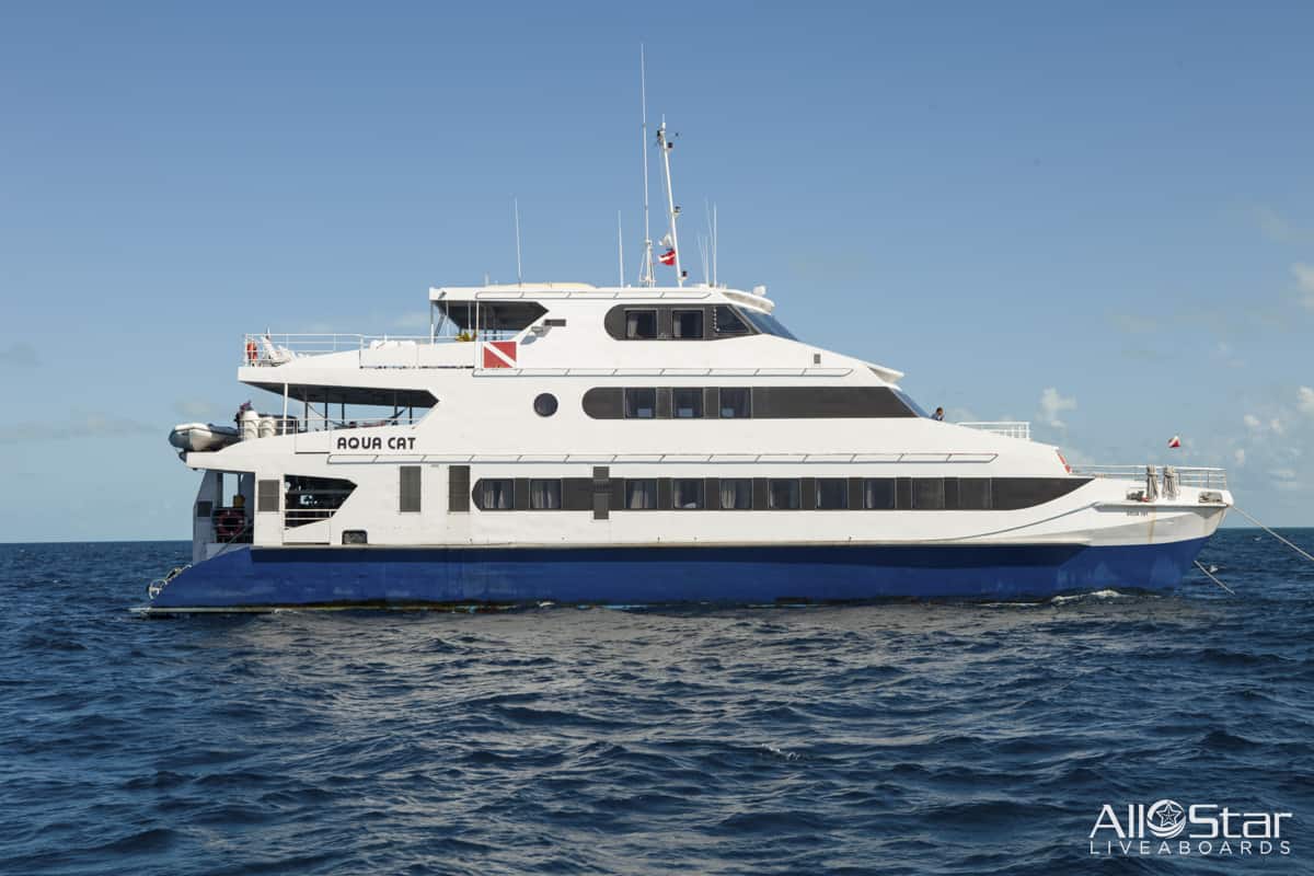 Bahamas Aqua Cat August 2026