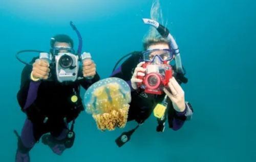 Underwater Videographer