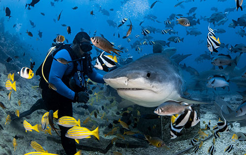 Beqa Lagoon Resort Fiji