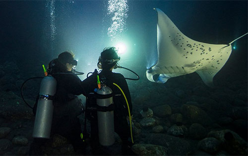 SDI Night / Limited Visibility Diver