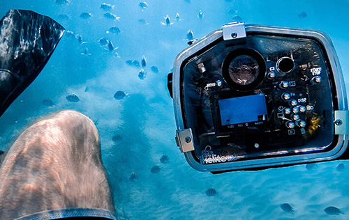 Digital Underwater Photographer