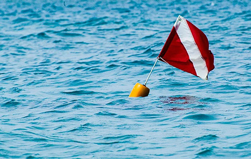 SDI Search and Recovery