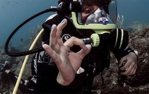 SDI Full Face Mask Diver