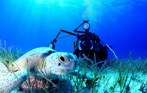SDI Underwater Photographer Diver