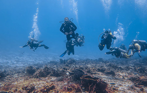 EFR Primary and Secondary Care