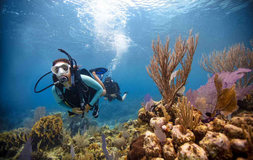 PADI Scuba Diver PADI Scuba Diver