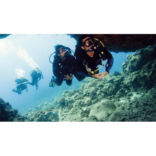 Cavern Diver