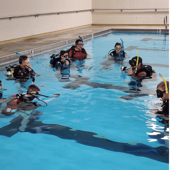 PADI Open Water Diver Class & Pool