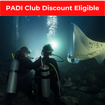Night Diver