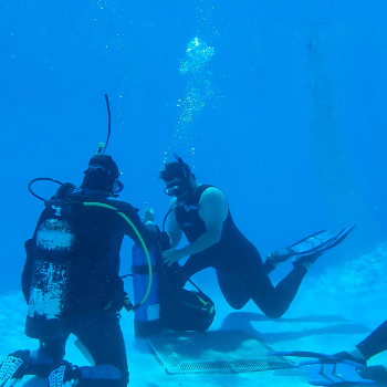ReActivate Your Scuba Skills