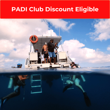 Boat Diver