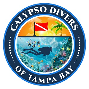 Calypso Tampa