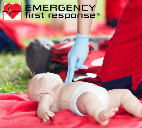 Primary and Secondary Care Child- $300