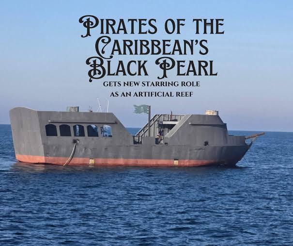 Special PADI Wreck Diver- $550