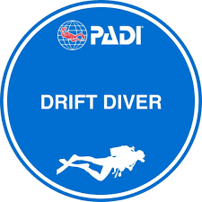 Drift Diver- $250.00
