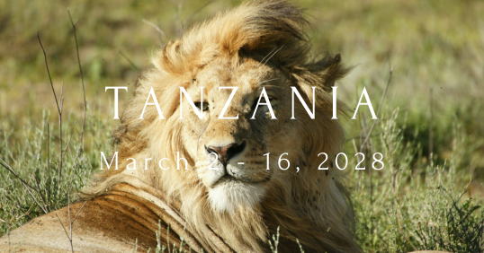 Tanzania 2028