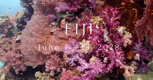 Fiji 2028