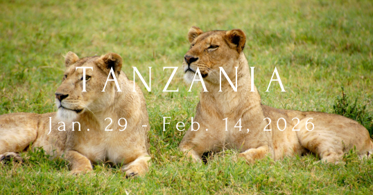 Tanzania 2026
