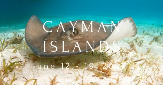 Cayman Aggressor 2027