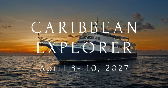 Caribbean Explorer 2027