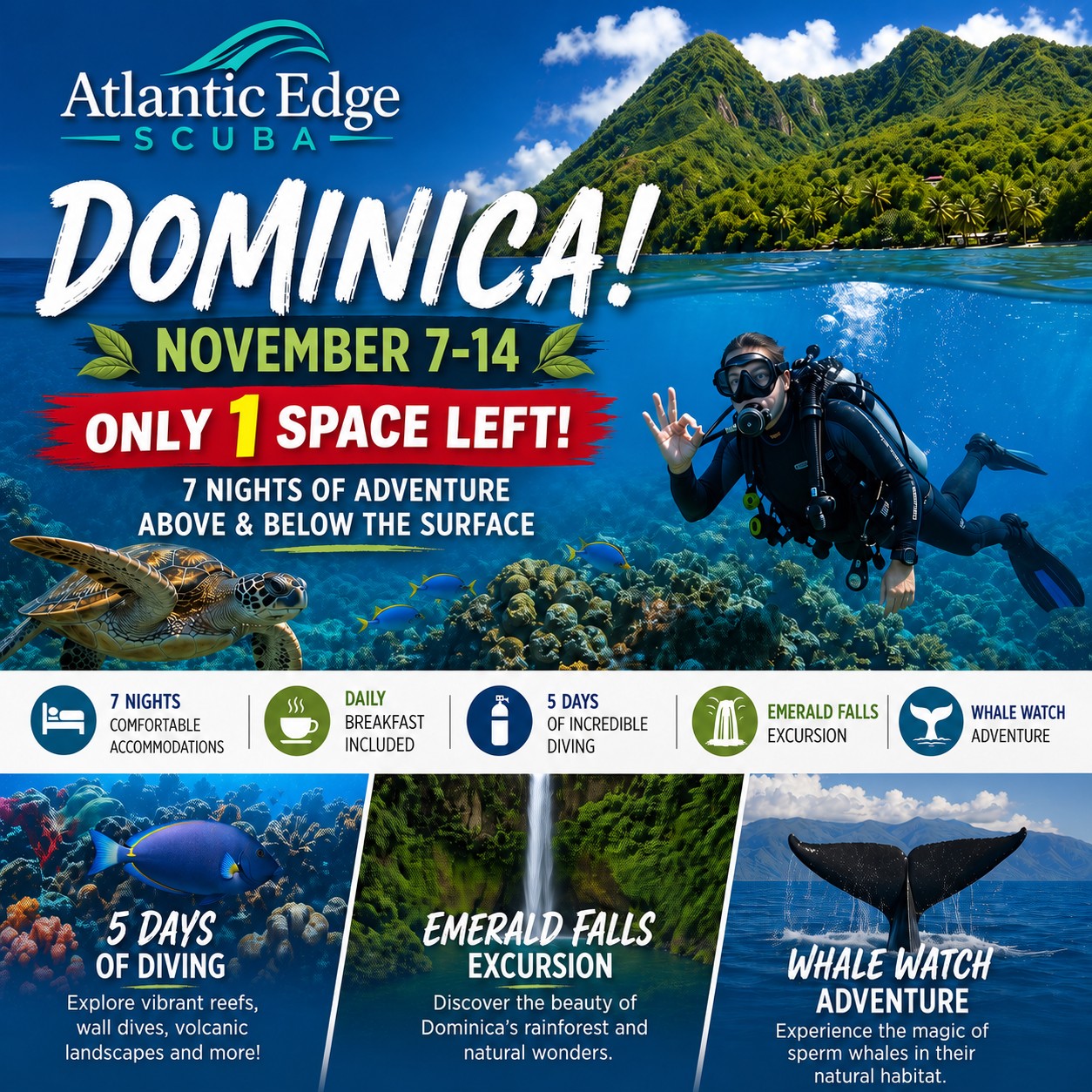 Dominica Dive Adventure