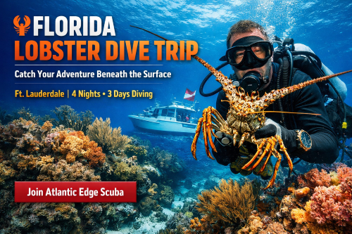 Flordia Lobster Trip