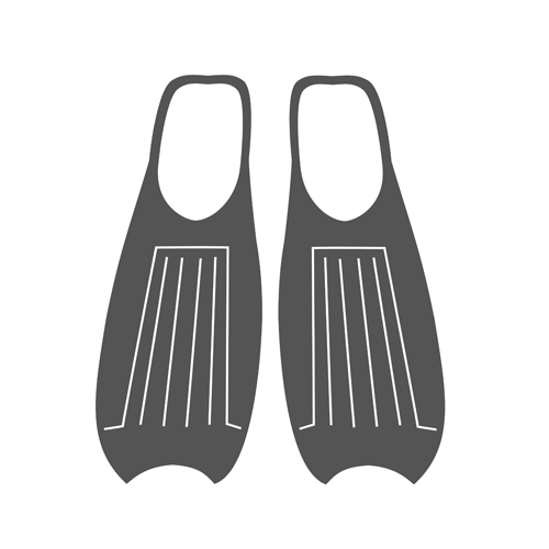 Collection Image