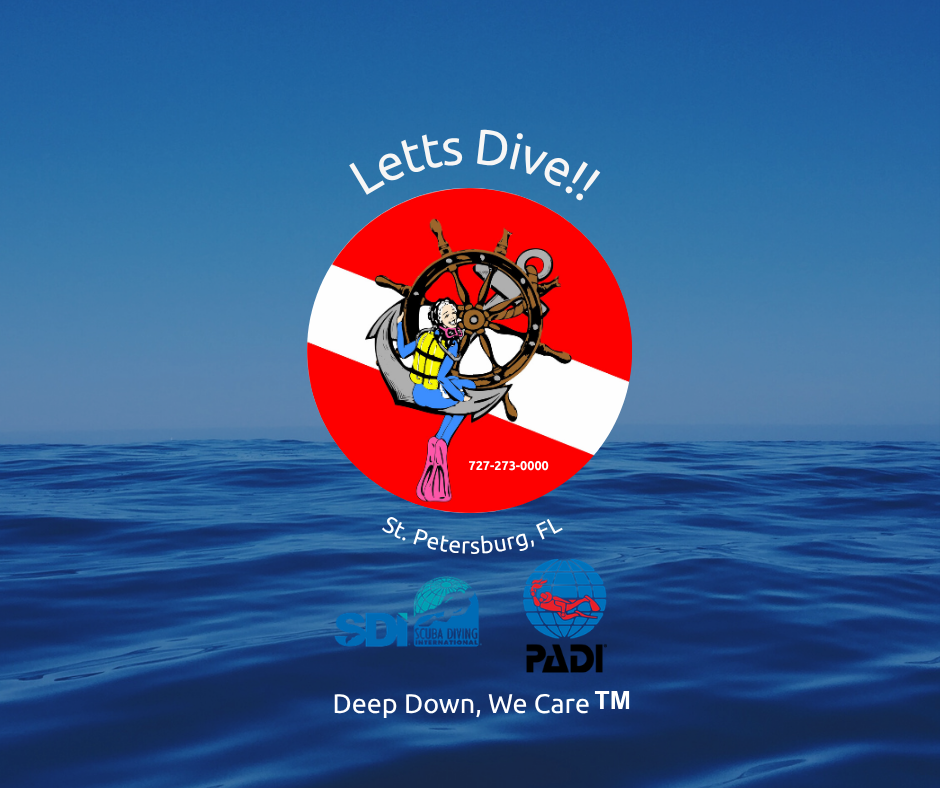 Letts Dive