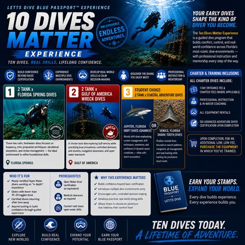 10 Dives Matter Experience