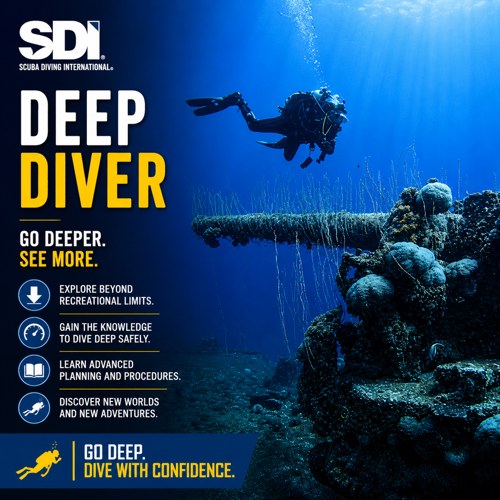 SDI Deep Diver