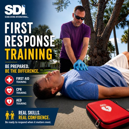 First Aid, CPR & AED Course (Stand-Alone)