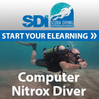 Computer Nitrox Diver