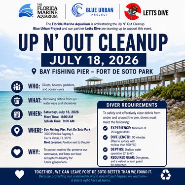 Up N' Out Clean Up at Fort DeSoto