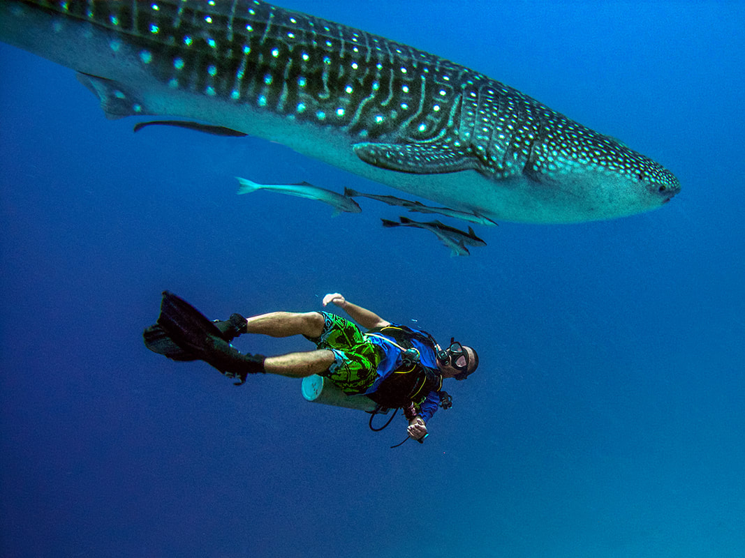 Egypt- South Red Sea 2027