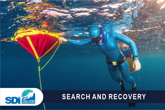 SDI Search & Recovery