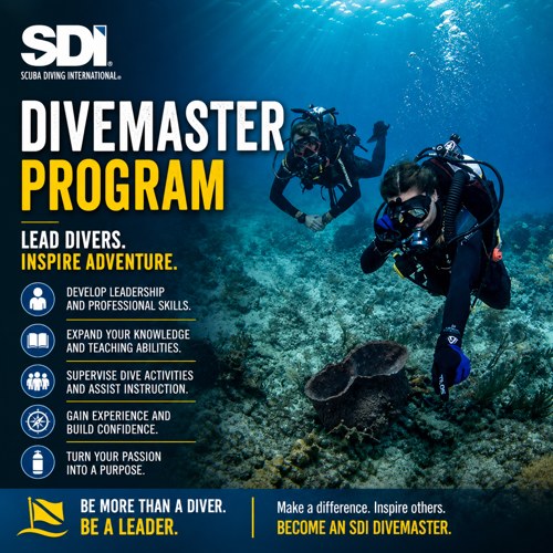 SDI Dive Master