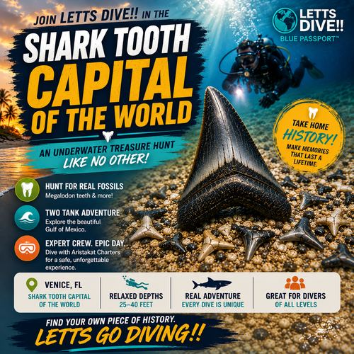 Shark Tooth Charters