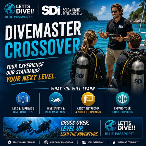 SDI Divemaster Crossover